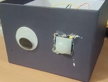 PIR motion sensor