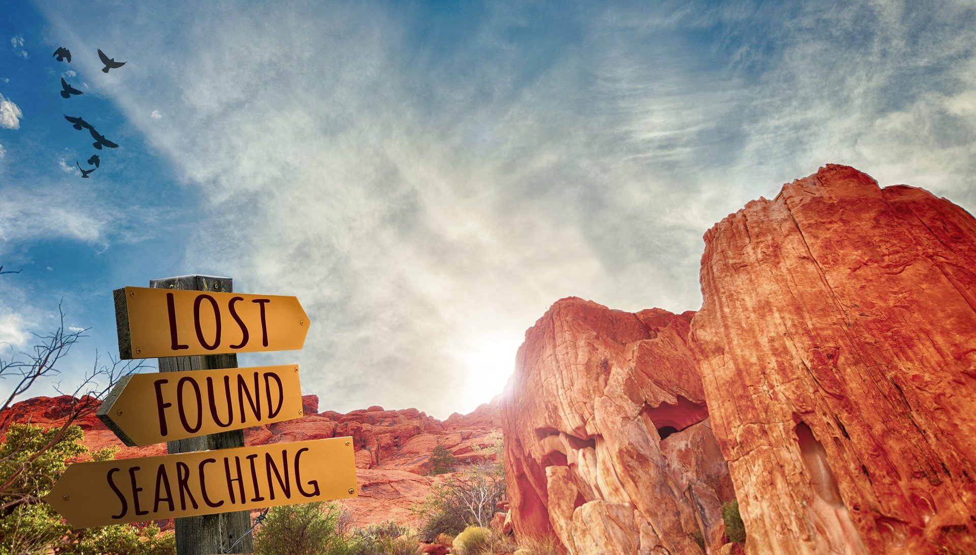 Lost, Found, Searching signpost